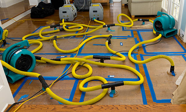 Professional Basement Flood Cleanup technician working in Juneau, WI